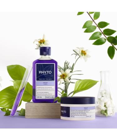 Phyto Purple Hair Mask for Blonde Hair | Neutralizes Yellow Tones & Reduces Brassiness | 200ml - Buy Online on GoSupps.com
