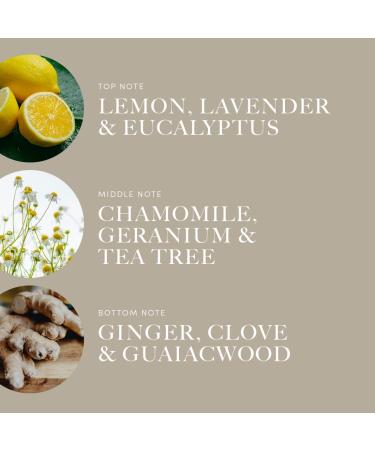 Aroma360 Exhale 50mL - Premium Aromatherapy Essential Oil for Relaxation & Wellness | International Shipping Available - Buy Online on GoSupps.com