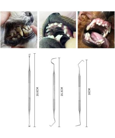 Elionless Pet Tooth Scaler Cleaning Set | 3-Piece Stainless Steel Tartar & Plaque Remover for Dogs & Cats International Shipping Available - Buy Online on GoSupps.com