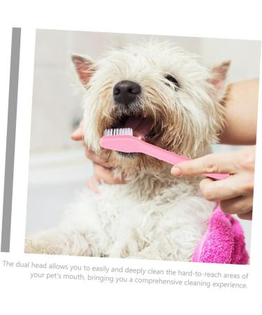 Sosoport 24 Pcs Double Head Dog Toothbrush Cat Toothbrush and Toothpaste 2 Sided Pet Toothbrush Pet Stuff Pp - Buy Online on GoSupps.com