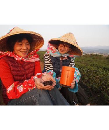 Taiwan unique tea Oriental Beauty tea 75g*4 - Buy Online on GoSupps.com