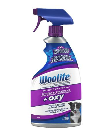 BISSELL 22-Ounce Woolite Oxygen Pet Stain and Odor Remover 650 ml (Pack of 1)