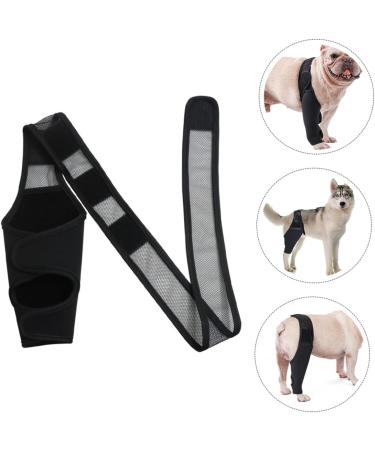 CORHAD Dog Leg Braces for Hindleg Comfortable Dog Knee Dog Back Leg Protector Puppy Pet Mesh Fabric Care M As Shown - Buy Online on GoSupps.com
