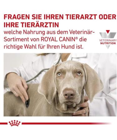 Royal Canin Veterinary Diabetic Special Low Carbohydrate N/A Mousse | 12 x 200g | Complete Dietary Food for Dogs | Can Help R - Buy Online on GoSupps.com