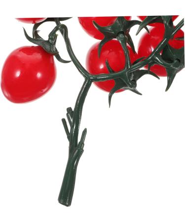 ABOOFAN String Simulated Cherry Tomatoes Fruit Decor Models Mini Toys Kitchen Tomatoes Kids Toy Photography Props Lifelike Cherry Tomatoes Fake Cherry Tomatoes Adorn Child Pvc Plant House Red 18X16CM - Buy Online on GoSupps.com