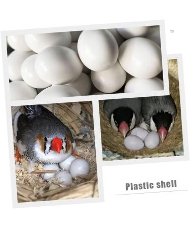 Housoutil 12pcs Bird Supply Festival Eggs Minieggs Portable Simulated Egg Xuan Feng Plastic White Parrot 1.9x1.6cm White - Buy Online on GoSupps.com