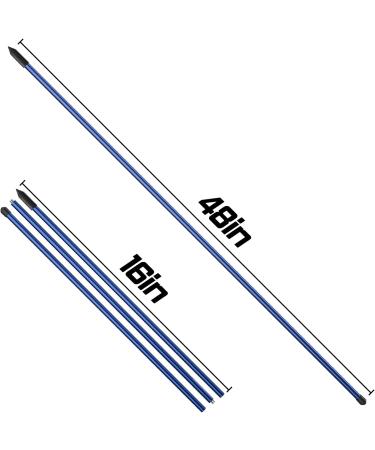 Kamitty Golf Alignment Stick 2/3 Packs - Portable Detachable Training Equipment (Blue) - Buy Online on GoSupps.com