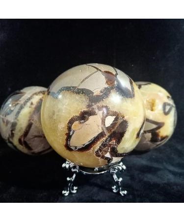 Natural Septarian Dragon Crystal Gem Geode Specimens - Buy Online on GoSupps.com