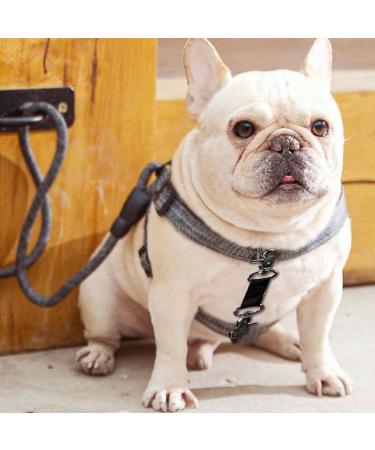 Double Ended Collar Clips for Small Dog Puppy Backup Collar Collar Backup Clasp Leash Connector for Dog Harness to Collar Safety Clip 4.7'' Black - Buy Online on GoSupps.com