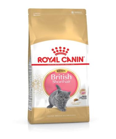 Royal Canin Kitten Food - British Shorthair Complete Food 2Kg Vegetable 2 kg (Pack of 1)