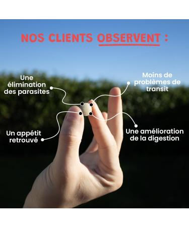 Vermi Protect Natural Dewormer for Dogs and Cats Herbal Antiparasitic Acts Against Worms in Cats and Dogs 60 Tablets Museau & Co Made in France - Buy Online on GoSupps.com