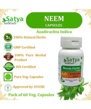 Neem Forte Capsules 500 mg. 60 Veg. Capsule | Neem (Azadirachta Indica) Extract Capsules for Men and Women | Ayurvedic Herbal Supplement/Remedies (4 Bottles of 60 Capsules) 240 Count (Pack of 1) - Buy Online on GoSupps.com