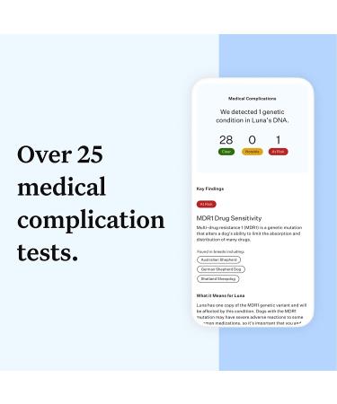 Wisdom Panel Essential Dog DNA Test Kit: Accurate Breed ID, Ancestry & Health | 25+ Conditions | Traits | Relatives - 1 Pack - Buy Online on GoSupps.com