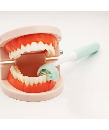 Suicra Green Toothbrush | 3-Page Oral Care | Dental Clean & Security | International Shipping - Buy Online on GoSupps.com