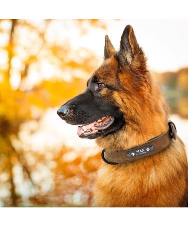 Personalized Didog Soft Padded Leather Dog Collar with Engraved Name Tag - Perfect for Small & Medium Dogs | Custom Size XL (40-50 cm) - Brown - Buy Online on GoSupps.com