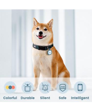 Personalized Pawaii Dog Tags with QR Code | Durable & Noiseless Silicone Pet ID for Dogs & Cats - Shop Now! - Buy Online on GoSupps.com