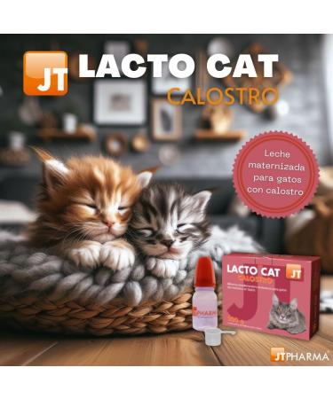 JT LACTO Cat 4X50GR - Buy Online on GoSupps.com