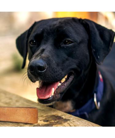 Yakers Dog Chew Medium 130 g (Pack of 2) Milk 130 g (Pack of 1) - Buy Online on GoSupps.com