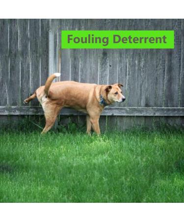 100% Natural Dog Trainer & Repellent Spray - Stops Chewing, Digging & Fouling - Safe for Adult Dogs & Puppies - Indoor & Outdoor - Makes 40+ Bottles - Buy Online on GoSupps.com