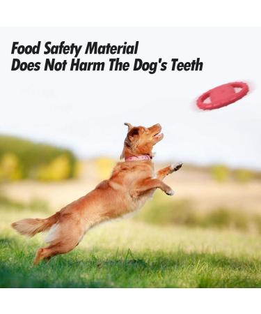 Skrtuan Dog Frisbee for Medium & Large Dogs - Interactive Squeaky Toy for Swimming & Outdoor Fun - Buy Online on GoSupps.com