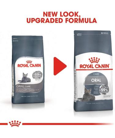 Royal Canin Dental Care Dry Cat Food 8kg Oral Care 8 kg (Pack of 1) - Buy Online on GoSupps.com