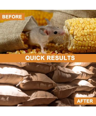 ANEWNICE Rodent Repellent with Wofimeha Peppermint Oil - 8 Pack Natural Rat & Mouse Repellent for Indoor/Outdoor Use - Buy Online on GoSupps.com