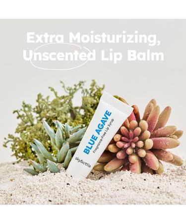 Buy Skybottle Unscented Blue Agave Lip Balm Syrup (Pack of 3) - Vegan Moisturizing Lip Gloss with Jojoba Oil | Soothes & Hydrates | 0.3 Fl. Oz - Buy Online on GoSupps.com