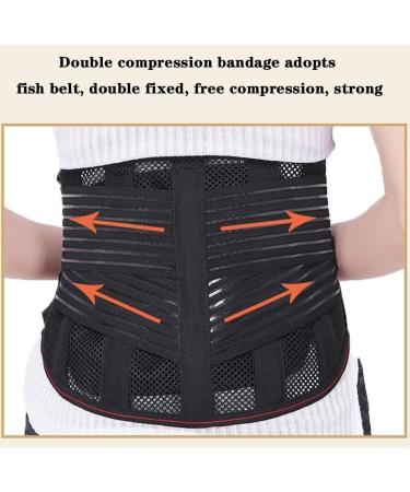 Breathable Belt for Men & Women - Pain Relief Stomach Muscle Support & Lower Back Comfort - Buy Online on GoSupps.com