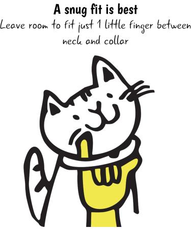 Kittyrama Cats & Kittens Neck Bands - Vet Approved Breakaway Hypoallergenic - As Seen in Vogue | Shop Stylish & Comfortable Designs - Buy Online on GoSupps.com