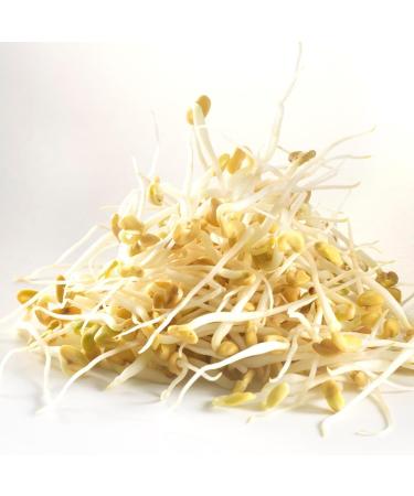 Germ'Line - Seeds to germinate - Fenugreek - 150g organic - Buy Online on GoSupps.com