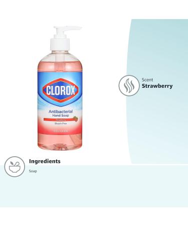 Clorox Liquid Hand Soap - 16 Fl Oz Pump Germ Eliminator Soft on Hands Tough on Dirt Strawberry Scented Hand Wash & Foam Soap - Buy Online on GoSupps.com