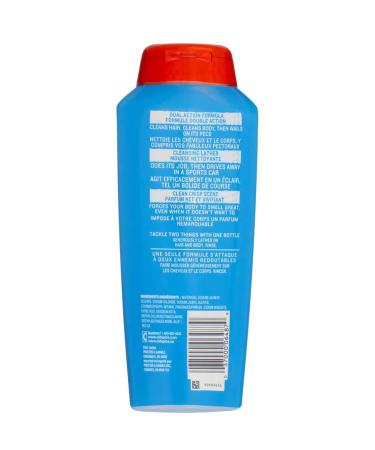 Old Spice High Endurance Hair & Body Wash 18 oz (Pack of 6) - Shop Internationally | Best Price & Fast Shipping - Buy Online on GoSupps.com
