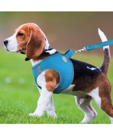Joyal Dog Harness | Reflective Soft Padded Air-Mesh for Medium & XL Dogs | Breathable Baby Blue 55-61cm - Buy Online on GoSupps.com