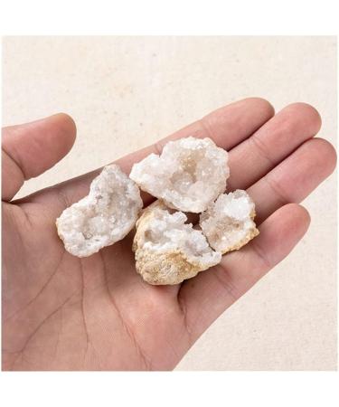 Gift 1Pc Natural Crystal Agate Geode Cutting Cluster Cornucopia Crystals Stone Specimen Fengshui Home Decor for dingchi Stone Mineral Specimen 3-5cm - Buy Online on GoSupps.com
