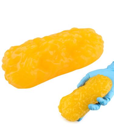 XKiss Human Fat Model Replica - 1 lb Reminder for Weight Management & Nutritionists - Buy Online on GoSupps.com
