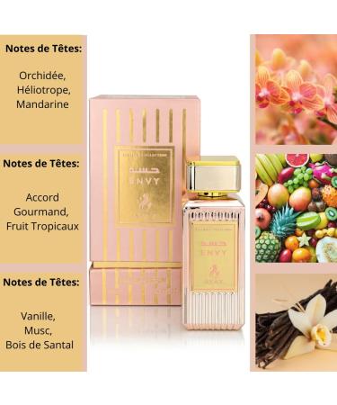 Eau de Parfum FEELINGS 100ml Ayat Perfumes - Made in Dubai With Notes of Rose Vanilla Oud Musk and Woody - EDP Oriental Perfect For Women And Men (Envy) - Buy Online on GoSupps.com