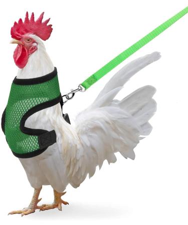 Chicken Harness with Leash Adjustable Chicken Leash for Hens Duck Puppy (Green M) Green M