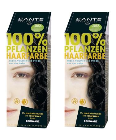 Sante Naturkosmetik Herbal Hair Color Powder Black 100 g (Pack of 2) black 100 g (Pack of 2)
