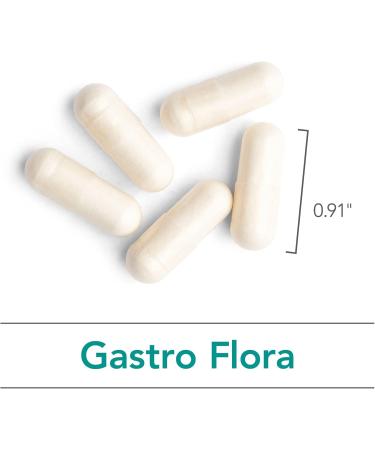 Nutricology Gastro Flora Supplement - Probiotic for Digestive Health Gut Health for Men & Women Lactobacillus and Bifidobacterium - 90 Count - Buy Online on GoSupps.com
