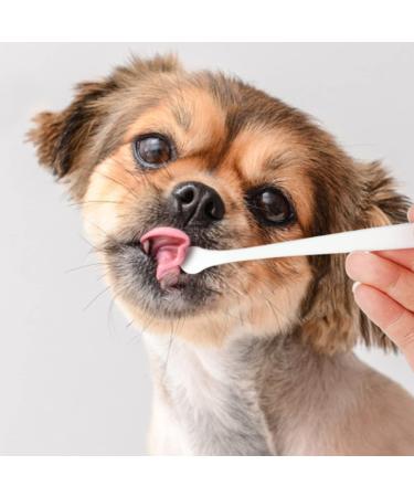 Mipcase 12 Pcs Pet Toothbrush Portable Toothbrush Cat Toothpaste Dog Small Head Toothbrush Bristles Manual - Buy Online on GoSupps.com