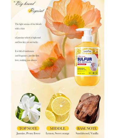 Deep Clean & Refreshing Shower Gel - Gentle Body Care for Men & Women | Sulfur Soap Liquid 16.9 Fl.Oz (500ml) for Soothing Treatment & Mite Control - Buy Online on GoSupps.com