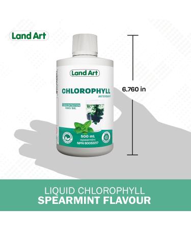 Liquid Chlorophyll Mint Cold Extracted from Non-GMO Alfalfa - Detox - Alkaline - Natural Body Deodorant Antioxidant - Made in Canada (Pack of 2) 500 ml (Pack of 2) - Buy Online on GoSupps.com