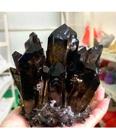 Natural Crystal Rough 300-700g Natural Quartz Crystal Cluster Quartz Stone Home Decoration 1PC (Size : 300g) - Buy Online on GoSupps.com