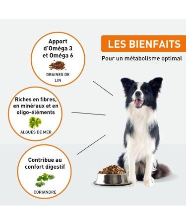 VetoNUT - Adult Dog Food - Small and Medium Breed - Natural Ingredients - Animal Proteins - Controlled Fat Content - Developed with Veterinarians - Nutritional Balance - 2.5kg - Buy Online on GoSupps.com