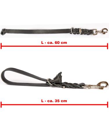 Premium Fat Leather Short Lead - 35 cm x 10 mm Brass Leash in Brown - Ideal for Dogs - International Shipping Available - Buy Online on GoSupps.com