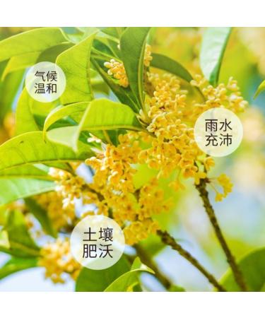  HQZMCTE Natural Osmanthus Dried Flower Herbal Tea 50g Osmanthus Fragrans Herbal Tea - Buy Online on GoSupps.com