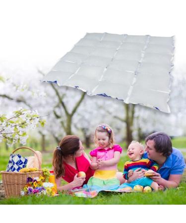 Dry Ice Packs for Shipping - Flexible Cold Packs for Frozen Food - Ice Blankets for Coolers - 8 Sheets of 24 Cells Each - Buy Online on GoSupps.com