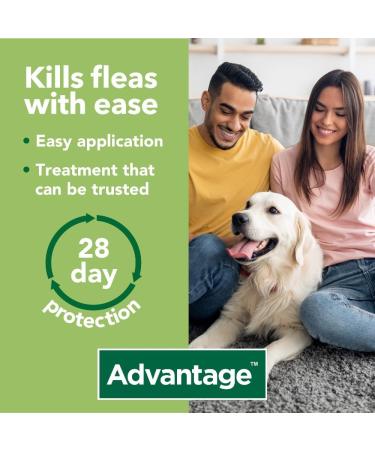 Advantage 100 Flea Spot On Treatment For Dogs 1 Pipette 1.0ml 4-10kg - Buy Online on GoSupps.com