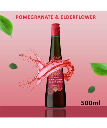 Bottle Green Cordial Pick N Mix - Choose From Bottle with 5 Flavours - Elderflower Ginger & Lemongrass Summer Raspberry Lime & Mint Pomegranate & Elderflower - Pack of 3 500 ml (Pack of 3) - Buy Online on GoSupps.com