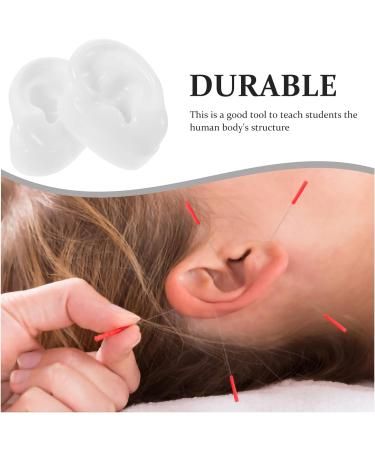 Educational Ear Piercing Kit: Silicone Ear Models for Jewelry Display & Teaching - Buy Online on GoSupps.com